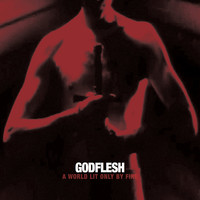 Godflesh: A world lit only by fire
