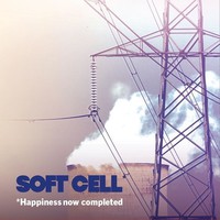 Soft Cell : Happiness now completed