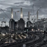 Pink Floyd : Animals