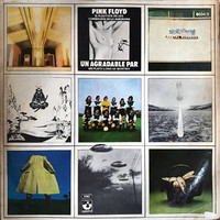 Pink Floyd : Un Agradable Par (A Nice Pair)