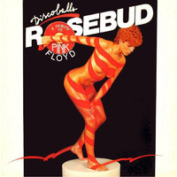 Pink Floyd / Pink Floyd -tribute- / Top, Jannick / Rosebud : Discoballs (A Tribute To Pink Floyd)
