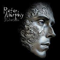 Murphy, Peter : Silver Shade