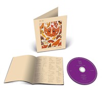 Talk Talk: The Colour of Spring