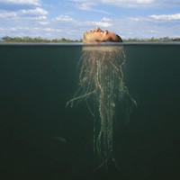 Mars Volta : De-Loused In The Comatorium