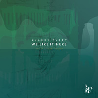 Snarky Puppy: We like it here