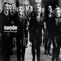 Suede : We Are The Pigs