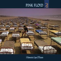 Pink Floyd : A momentary lapse of reason