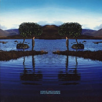 Dickinson, Bruce : Skunkworks