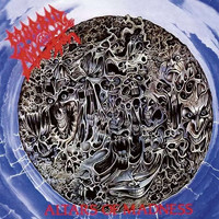 Morbid Angel : Altars of madness