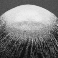 Vasas Flora & Fauna: Berg i dage