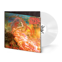 Morbid Angel : Blessed Are The Sick