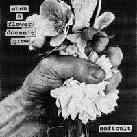 Softcult: When A Flower Doesn't Grow