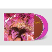 Soft Cell : The art of falling apart