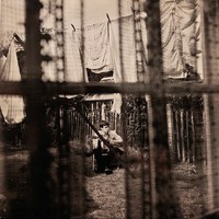 McCartney, Paul : Chaos And Creation In The Backyard