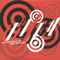 U2 : Original Of The Species