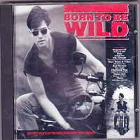 Fleetwood Mac / Steppenwolf / V/A : Born To Be Wild