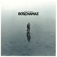 Boschamaz: This is not sweden