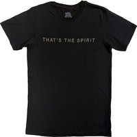 Bring Me The Horizon : That's the spirit