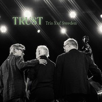 Trio X Of Sweden: Trust