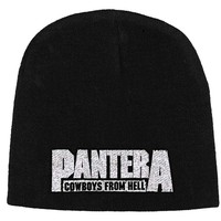 Pantera : Cowboys from hell 1