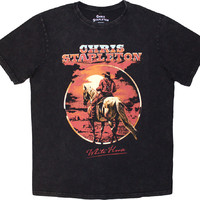 Stapleton, Chris: White horse