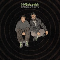 Sleaford Mods: The demise of planet x