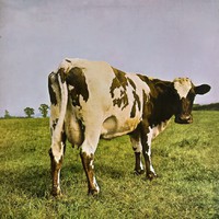 Pink Floyd : Atom Heart Mother