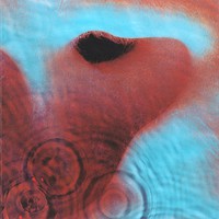 Pink Floyd : Meddle