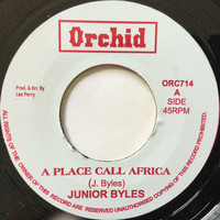 Byles, Junior / Upsetters : A Place Call Africa