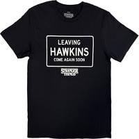 Netflix: Stranger things - leaving hawkins