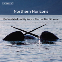 Maskuniitty, Markus: Northern horizons