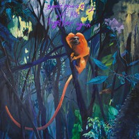 Bonnie 'Prince' Billy : We are together again