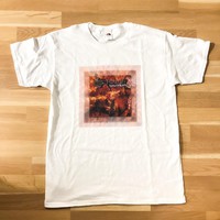 Steen1 : Salaliittoteoria