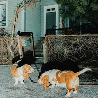 Apulanta : Oire jostakin