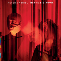Gabriel, Peter : In the big room