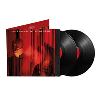 Gabriel, Peter : In the big room