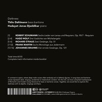 Dahlmann, Thilo: Darkness