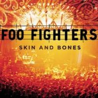 Foo Fighters: Skin and bones