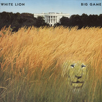 White Lion : Big game