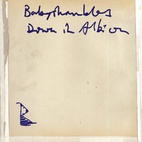Babyshambles : Down in Albion