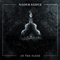 Nader Sadek: In the flesh