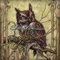 Lucas, Austin: A new home in the old world