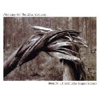 Alchemy Of The 21st Century: Beauty Of Aesthetic Imperfection