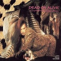 Dead Or Alive: Sophisticated boom boom
