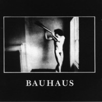 Bauhaus : In the flat field