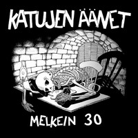 Katujen Äänet: Melkein 30