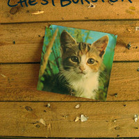 Chestburster: Secret Sex Tape