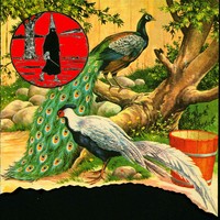 Federsel/Freudl: Peacock King