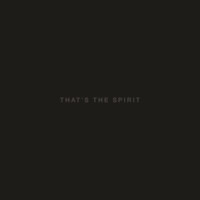 Bring Me The Horizon: That's The Spirit