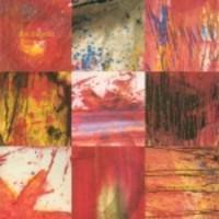 Don Huonot : Kameleontti